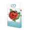 Diamond Dotz® at Home Beginner Garden Lady Diamond Painting Kit
